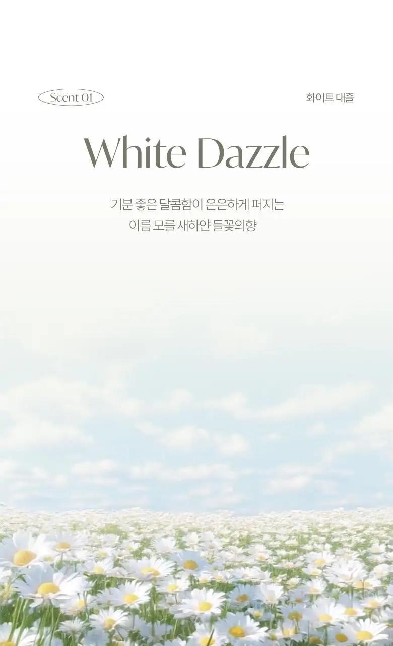 [2+1] 라운드어라운드 배쓰밤 골라담기 (컬러풀/센티드) 상세페이지 20